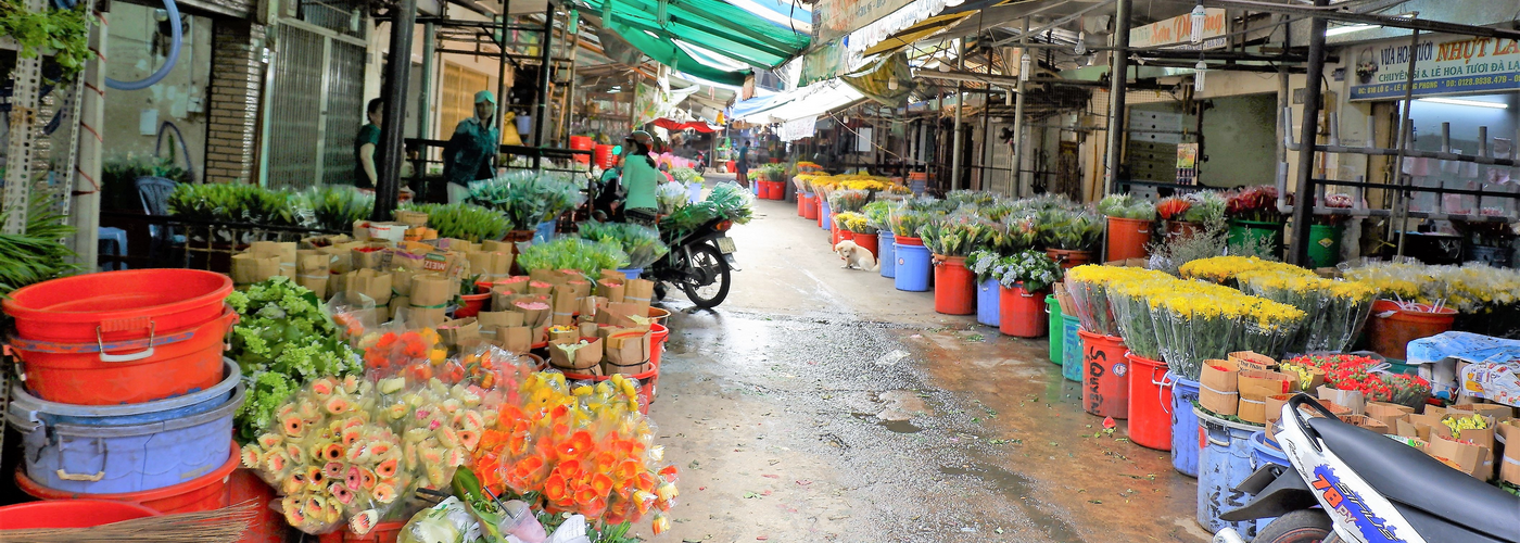 vespa tour ho chi minh city