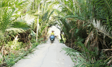 vespa tours